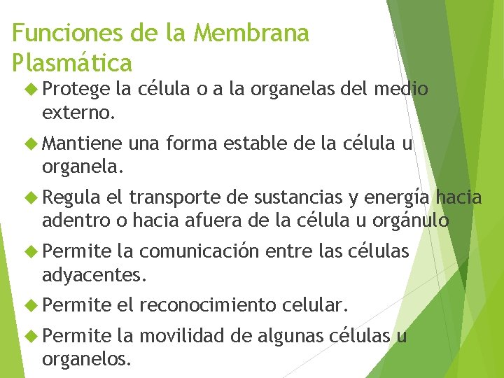 Funciones de la Membrana Plasmática Protege la célula o a la organelas del medio
