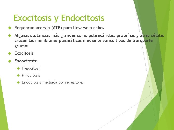 Exocitosis y Endocitosis Requieren energía (ATP) para llevarse a cabo. Algunas sustancias más grandes