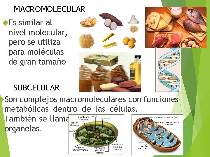 MACROMOLECULAR Es similar al nivel molecular, pero se utiliza para moléculas de gran tamaño.