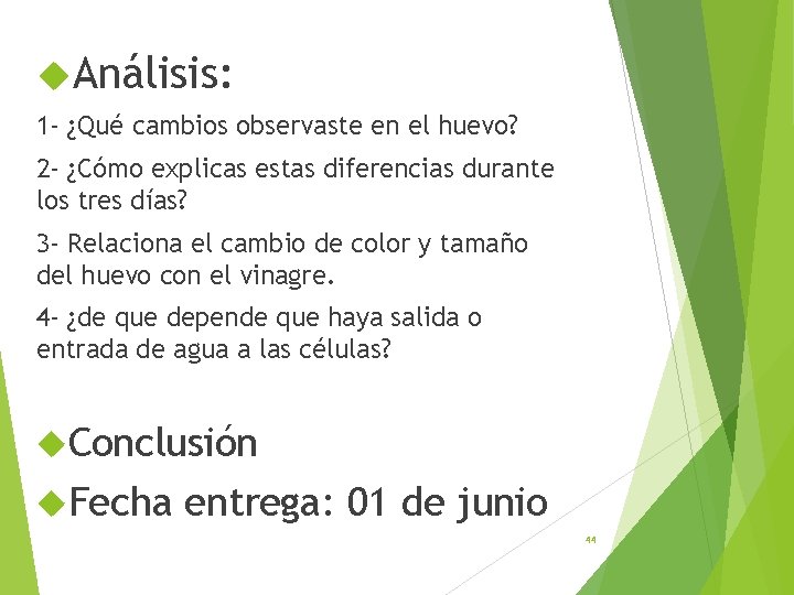  Análisis: 1 - ¿Qué cambios observaste en el huevo? 2 - ¿Cómo explicas