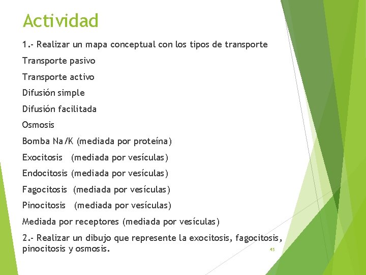 Actividad 1. - Realizar un mapa conceptual con los tipos de transporte Transporte pasivo