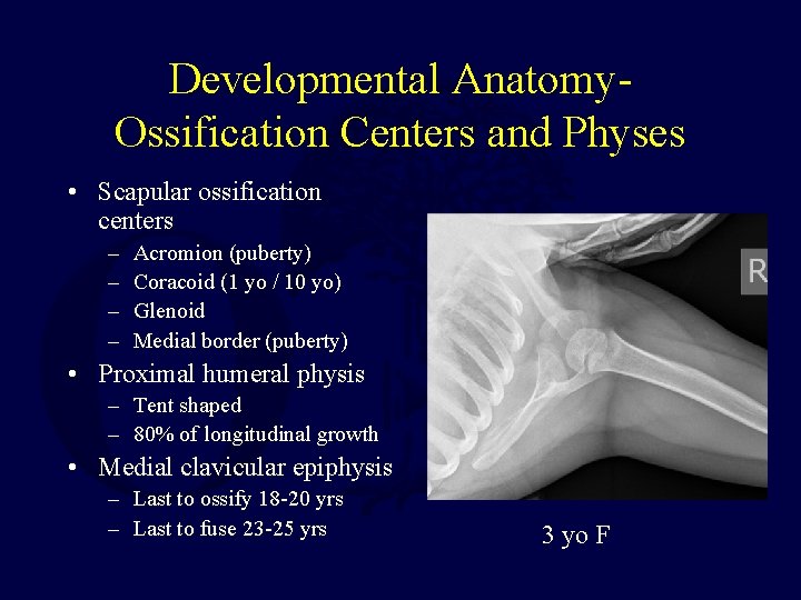 Developmental Anatomy. Ossification Centers and Physes • Scapular ossification centers – – Acromion (puberty)