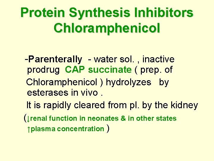 Protein Synthesis Inhibitors Chloramphenicol -Parenterally - water sol. , inactive prodrug CAP succinate (