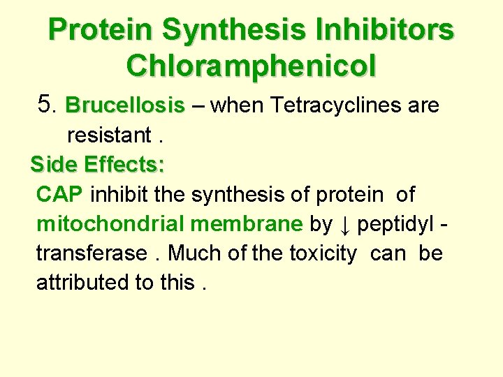 Protein Synthesis Inhibitors Chloramphenicol 5. Brucellosis – when Tetracyclines are Brucellosis resistant. Side Effects: