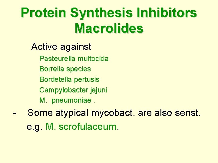 Protein Synthesis Inhibitors Macrolides Active against Pasteurella multocida Borrelia species Bordetella pertusis Campylobacter jejuni