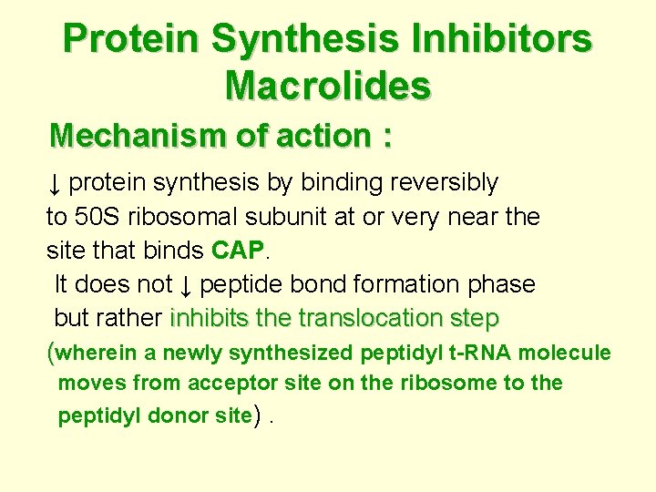 Protein Synthesis Inhibitors Macrolides Mechanism of action : ↓ protein synthesis by binding reversibly