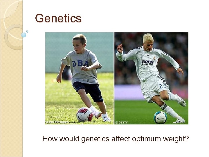 Genetics How would genetics affect optimum weight? 