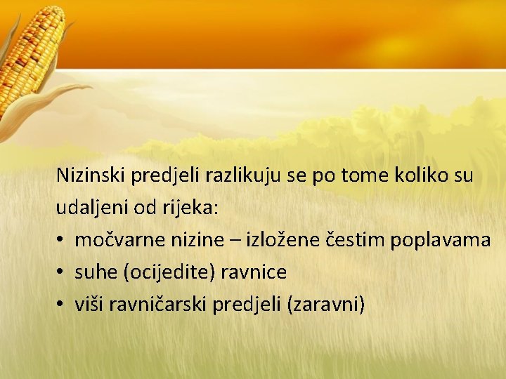 Nizinski predjeli razlikuju se po tome koliko su udaljeni od rijeka: • močvarne nizine