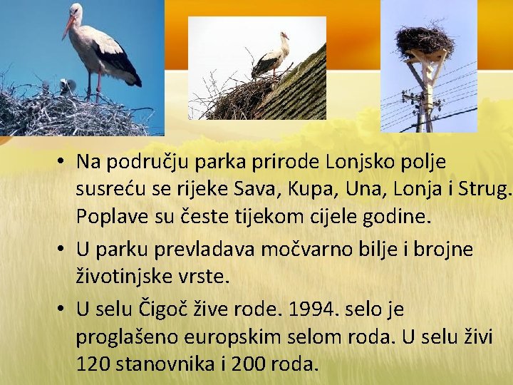  • Na području parka prirode Lonjsko polje susreću se rijeke Sava, Kupa, Una,