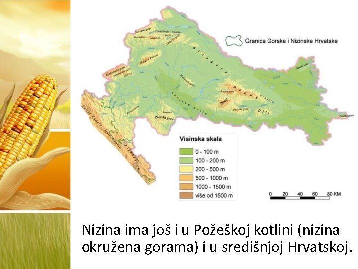 Nizina ima još i u Požeškoj kotlini (nizina okružena gorama) i u središnjoj Hrvatskoj.