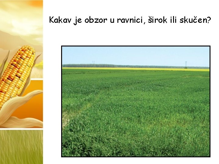 Kakav je obzor u ravnici, širok ili skučen? 