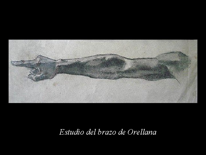 Estudio del brazo de Orellana 