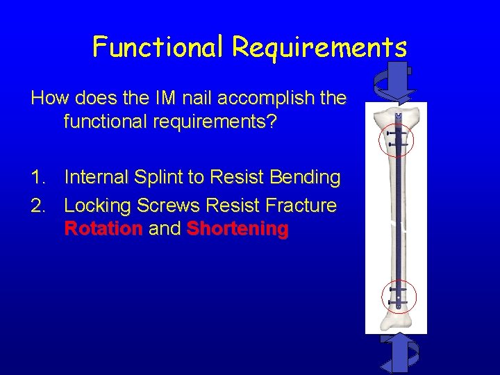 Functional Requirements How does the IM nail accomplish the functional requirements? 1. Internal Splint