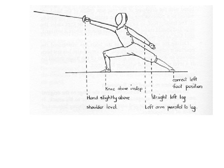 Physics of Fencing The Biomechanics of a Lunge