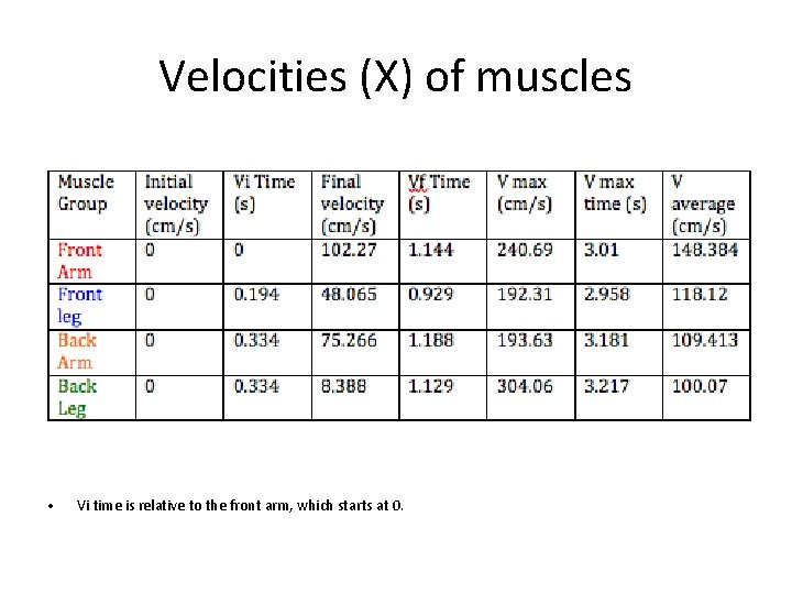 Velocities (X) of muscles • Vi time is relative to the front arm, which