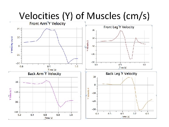 Velocities (Y) of Muscles (cm/s) 