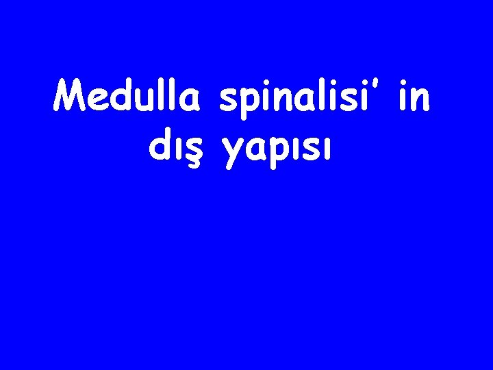 Medulla spinalisi’ in dış yapısı 