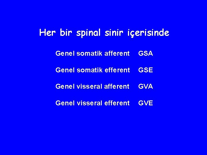 Her bir spinal sinir içerisinde Genel somatik afferent GSA Genel somatik efferent GSE Genel