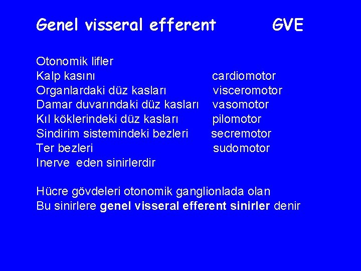 Genel visseral efferent GVE Otonomik lifler Kalp kasını cardiomotor Organlardaki düz kasları visceromotor Damar