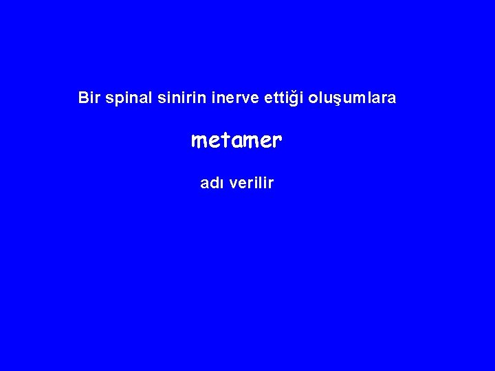 Bir spinal sinirin inerve ettiği oluşumlara metamer adı verilir 