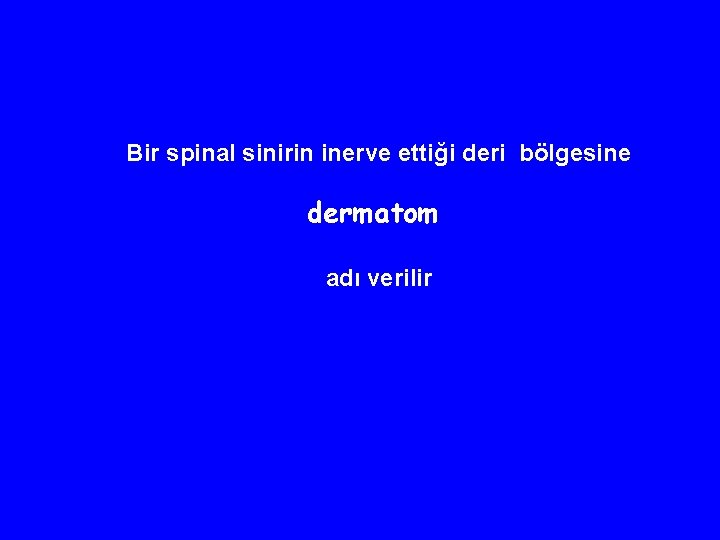 Bir spinal sinirin inerve ettiği deri bölgesine dermatom adı verilir 