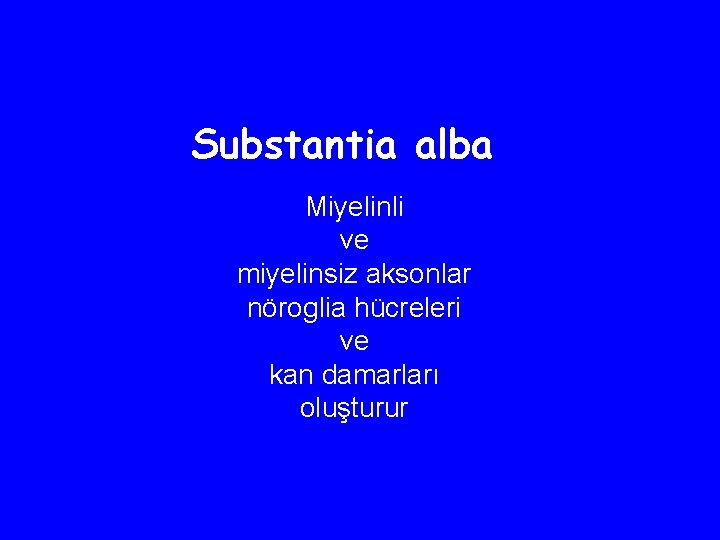 Substantia alba Miyelinli ve miyelinsiz aksonlar nöroglia hücreleri ve kan damarları oluşturur 