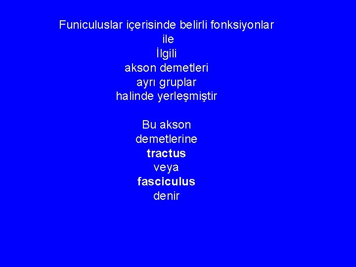 Funiculuslar içerisinde belirli fonksiyonlar ile İlgili akson demetleri ayrı gruplar halinde yerleşmiştir Bu akson