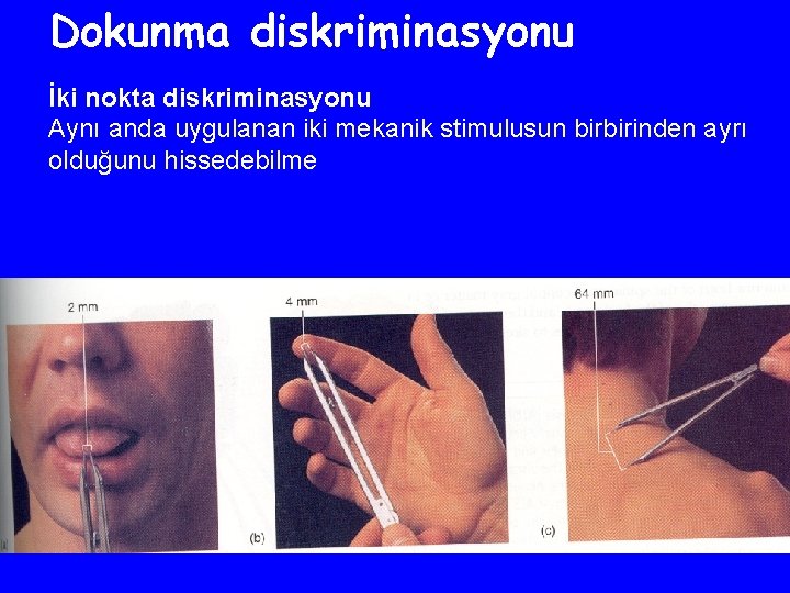 Dokunma diskriminasyonu İki nokta diskriminasyonu Aynı anda uygulanan iki mekanik stimulusun birbirinden ayrı olduğunu
