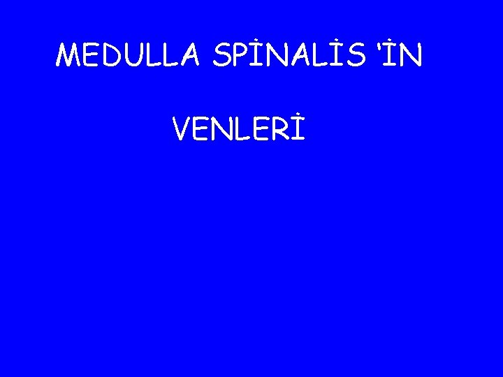 MEDULLA SPİNALİS ‘İN VENLERİ 