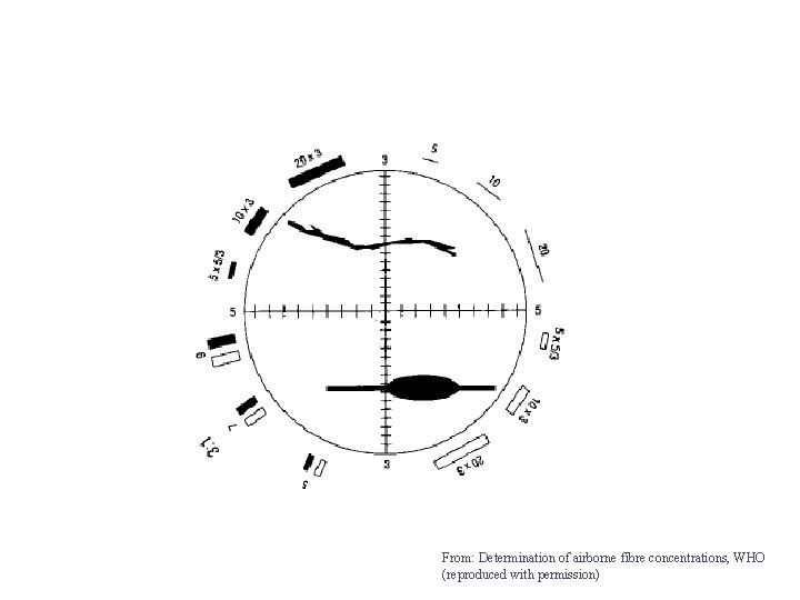 From: Determination of airborne fibre concentrations, WHO (reproduced with permission) 