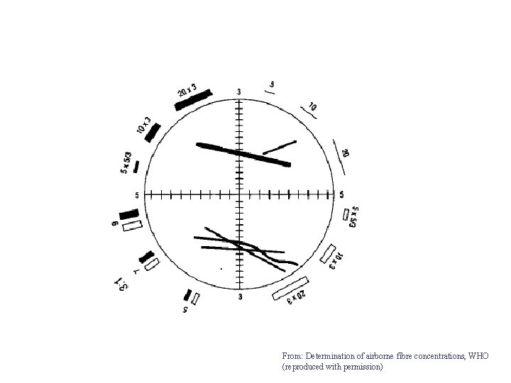 From: Determination of airborne fibre concentrations, WHO (reproduced with permission) 