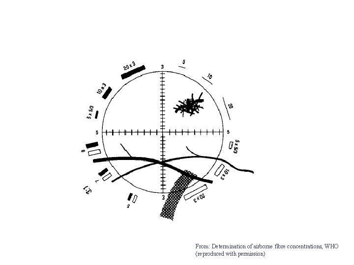 From: Determination of airborne fibre concentrations, WHO (reproduced with permission) 