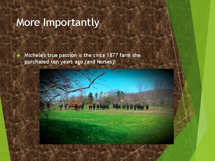 More Importantly Michele's true passion is the circa 1877 farm she purchased ten years