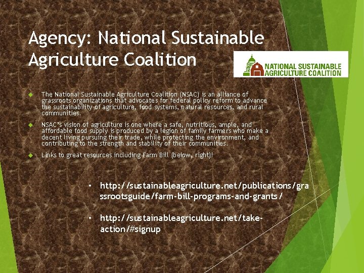 Agency: National Sustainable Agriculture Coalition The National Sustainable Agriculture Coalition (NSAC) is an alliance