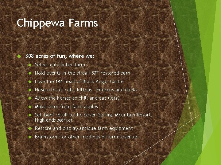 Chippewa Farms 308 acres of fun, where we: Select cut timber farm Hold events