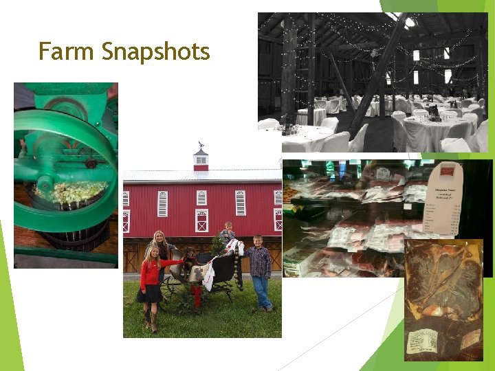 Farm Snapshots 