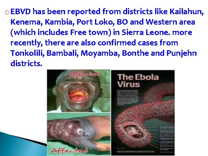 o EBVD has been reported from districts like Kailahun, Kenema, Kambia, Port Loko, BO