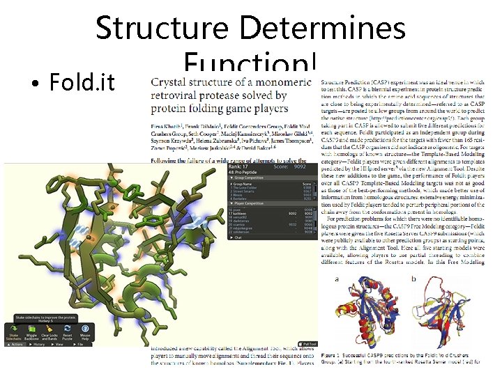 Structure Determines Function! • Fold. it 