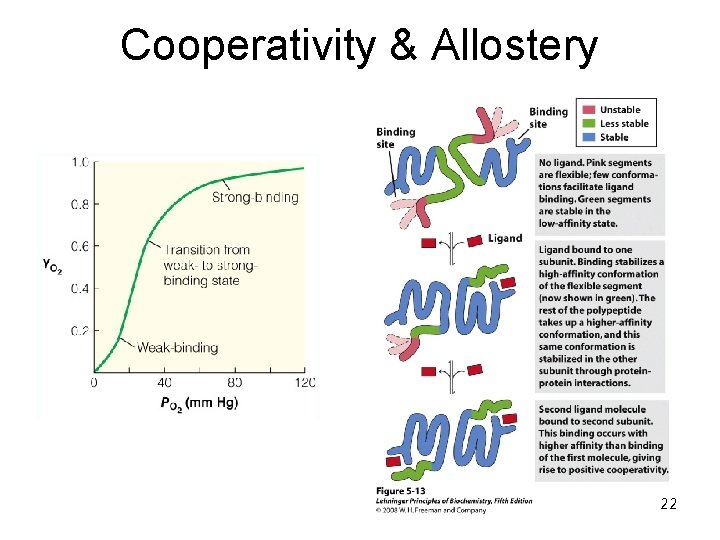 Cooperativity & Allostery 22 Cooperativity & Allostery 22