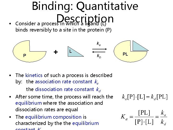 • Binding: Quantitative Description Consider a process in which a ligand (L) binds • Binding: Quantitative Description Consider a process in which a ligand (L) binds