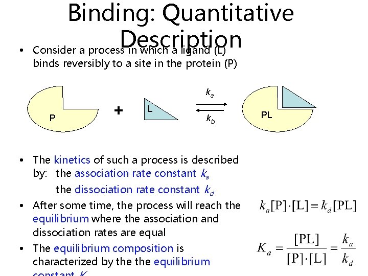  • Binding: Quantitative Description Consider a process in which a ligand (L) binds