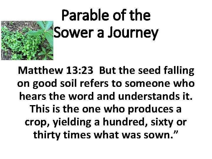 Parable of the Sower a Journey Matthew 13: 23 But the seed falling on