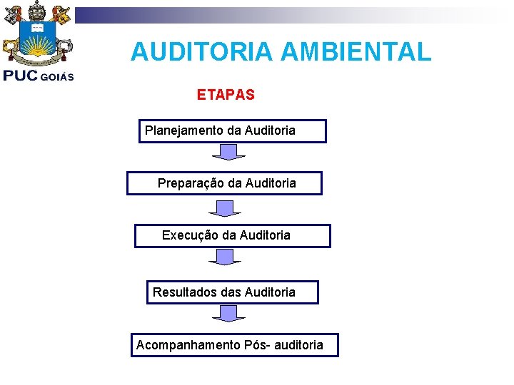 AUDITORIA AMBIENTAL ETAPAS Planejamento da Auditoria Preparação da Auditoria Execução da Auditoria Resultados das