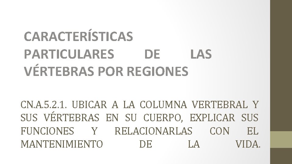 CARACTERÍSTICAS PARTICULARES DE LAS VÉRTEBRAS POR REGIONES CN. A. 5. 2. 1. UBICAR A