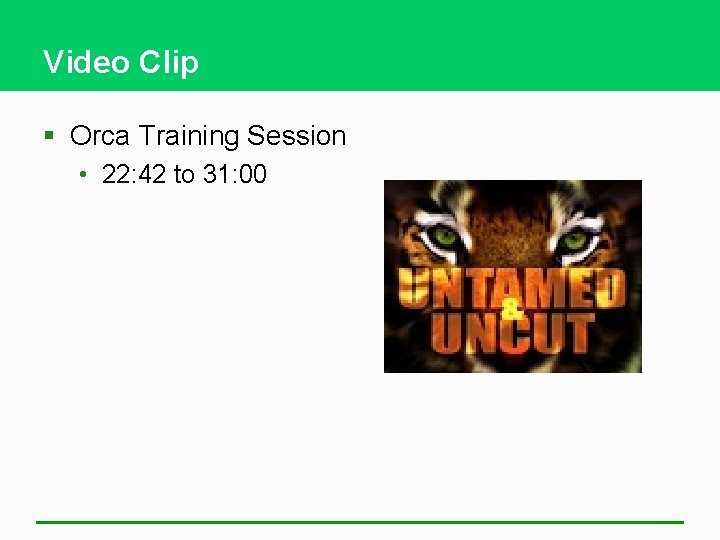 Video Clip § Orca Training Session • 22: 42 to 31: 00 