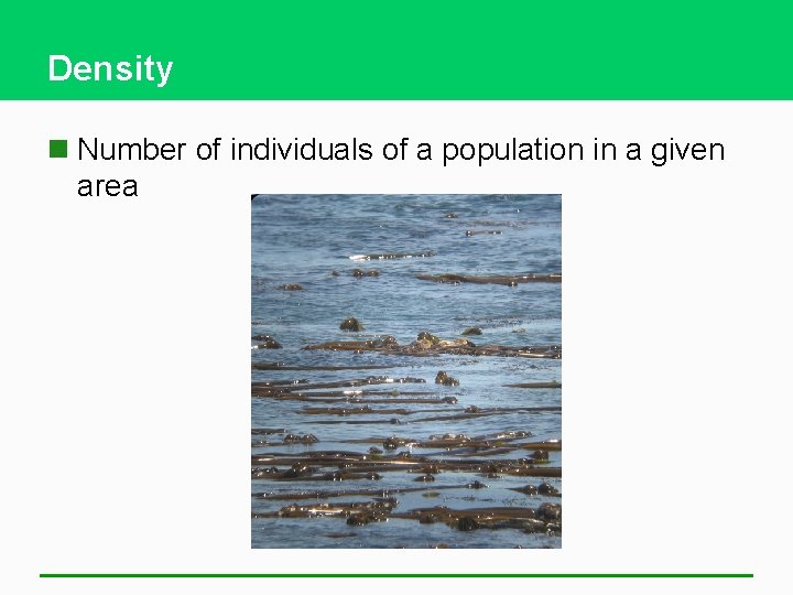 Density n Number of individuals of a population in a given area 