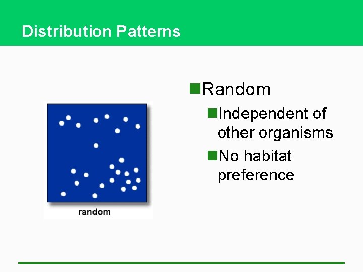 Distribution Patterns n. Random n. Independent of other organisms n. No habitat preference 