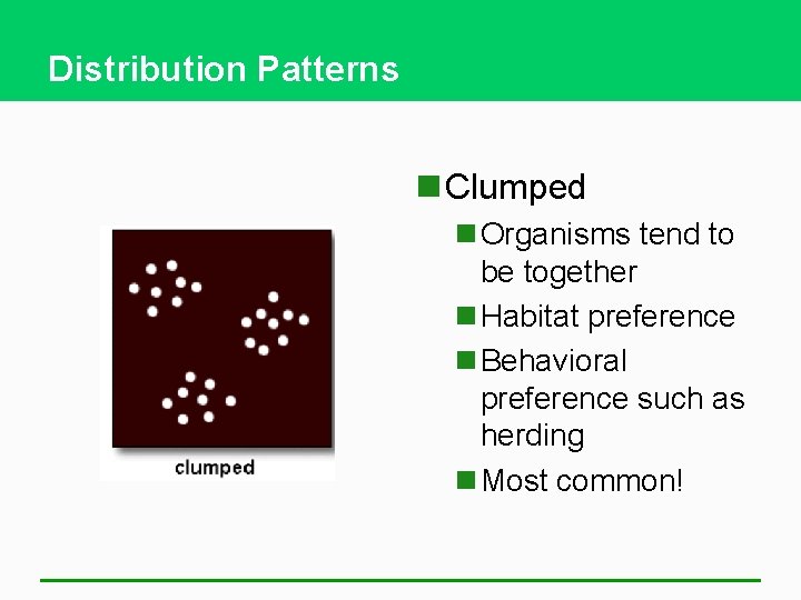 Distribution Patterns n Clumped n Organisms tend to be together n Habitat preference n