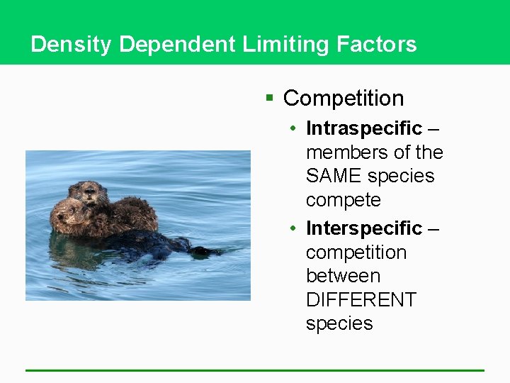 Density Dependent Limiting Factors § Competition • Intraspecific – members of the SAME species