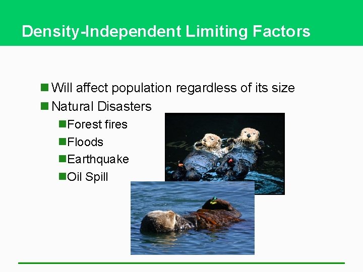 Density-Independent Limiting Factors n Will affect population regardless of its size n Natural Disasters